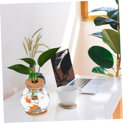 Desktop Hydroponic Fish Bowl Glass Aquarium with Mat for Betta and Aquatic Plants Stylish Terrarium for Decor
