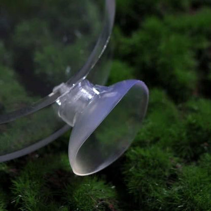 Shrimp Food Box, Round/Square Practical Fish Feeding Bowl, Acrylic Transparent Aquarium Accessories Fish Feeding Dish Shrimp Food Feeding Circle(D)