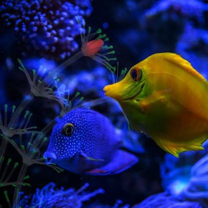 Abaodam Fluorescent Silicone Aquarium Plant Realistic Vivid Water Grass Simulation Fish Tank Landscape Decor Green Artificial Underwater Plant for Aquarium Accessories