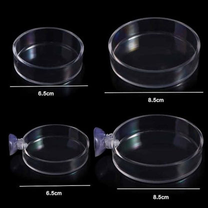 Shrimp Food Box, Round/Square Practical Fish Feeding Bowl, Acrylic Transparent Aquarium Accessories Fish Feeding Dish Shrimp Food Feeding Circle(D)
