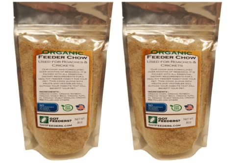Dubia Roach Colony Starter Kit, 1Lb Organic Feeder Insect Gut Loading Chow, Water Crystals, 6 Egg Flats, for Breeding Insects, Cricket Alternative, for Bearded Dragons, Leopard Geckos, Reptiles