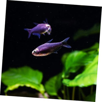 Aquarium Background - Fish Tank Wallpaper Roll - Cling Aquarium Backdrop PVC Self-Adhesive Sticker for Aquatic Decor Fish Tank Scenery