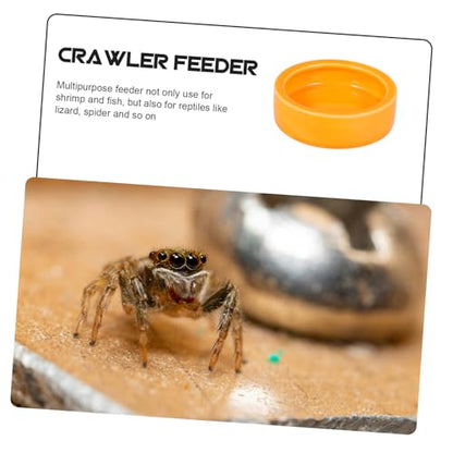 Garneck Crawler Crawling Pet Feeding Bowl Orange Shrimp Food Basin Design for Fish and Reptiles Non-Escape Feeder Dish