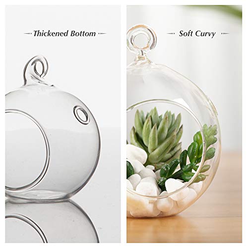 WGV Hanging Terrarium Globe, Width 7", Height 8", DIY Air Succulent Planter, Clear Glass Vase Orb with Flat Bottom, Candle Holder Outdoor Garden Decor, 6 Pieces - size: 7" Flat Bottom