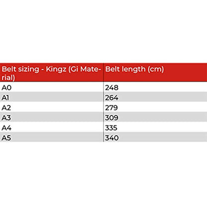 Tatami Fightwear Kid's IBJJF Rank Belt - Green - color: Gray, size: M2
