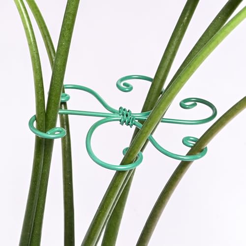 5PCS Monstera Plant Support Hook - 4.1 * 4.4IN, Durable Flexible Stabilizers for Indoor Plants, Metal Stem Supports and Leaf Holders, Easy Tool-Free Operation, Ideal for Fishbone Cactus Care - color: Green, size: 4.1IN*4.1IN