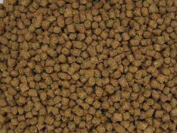 NutriSpheres - Sinking Diet for Snails, Shrimp & Bottom Feeding Fish