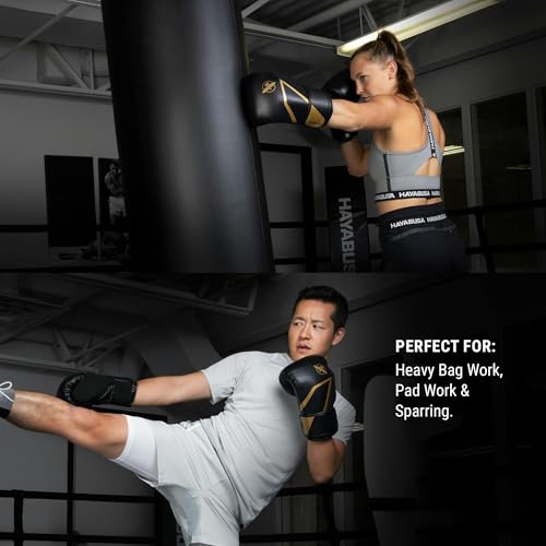 Hayabusa E1 Boxing Gloves for Men and Women - color: Black/Gold, size: 10oz