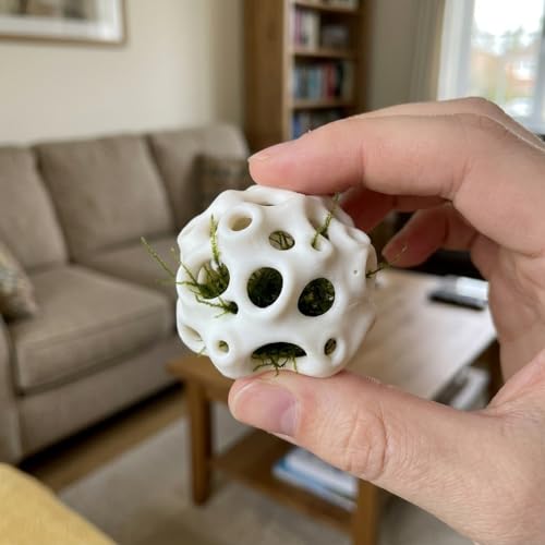 Aquarium Fish Shelter & Shrimp Cave 3D Printed Premium Breeding House for Fish Fry, Baby Shrimp Hideout, Moss & Plant Holder for Aquascaping, Non-Toxic Live Fish Tank Decoration Organizer