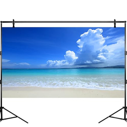 Tropical Beach Aquarium Background Ocean Sea Sandbeach Fish Tank Background Ocean Seascape Terrarium Backgrounds Sunny Blue Sky Clouds Seacoast Ocean Sea Waves Reptile Tank Backgrounds 36x18in