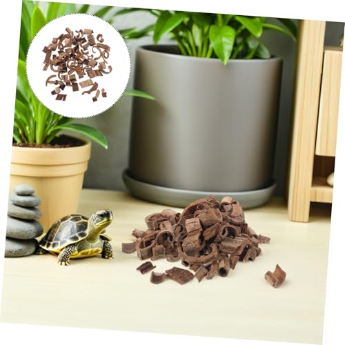 Natural Pecan Wood Bark Sheets 100g for DIY Terrarium Background, Reptile Habitat Decor, Fish Tank and Snake Enclosure Backdrop