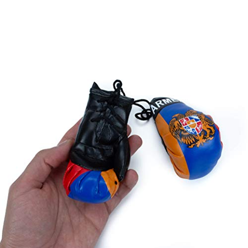 Armenian car Charm Boxing Gloves with Armenian Flag and Emblem Car Hanging Decoration Rearview Mirror Charm