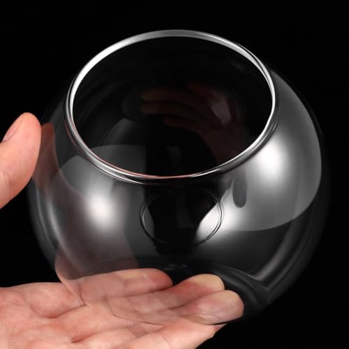 ibasenice 3Pcs Glass Terrarium Bowls Air Plant Holders Hydroponic Planters Small Round Vases for Home Office Desktop Display