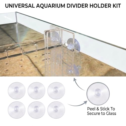 Fish Tank Divider for 5 Gallon & 5.5 Gallon Tanks, Clear Acrylic Aquarium Divider, Adjustable Fish Tank Separator with Dual Suction Cup System, Freshwater Aquarium Partition Panel