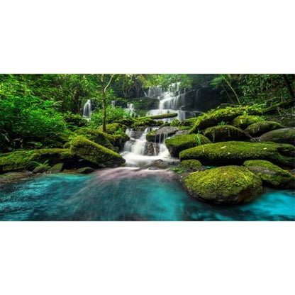 AWERT 72x16 inches Waterfall Terrarium Background Tropical Rainforest Aquarium Background Mountain Lake Green Tree Reptile Habitat Background Durable Polyester Background - size: 72x16in/180x40cm