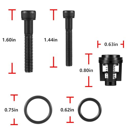 Replacement for Briggs & Stratton 190591GS Check Valve Kit for pressure washer pumps