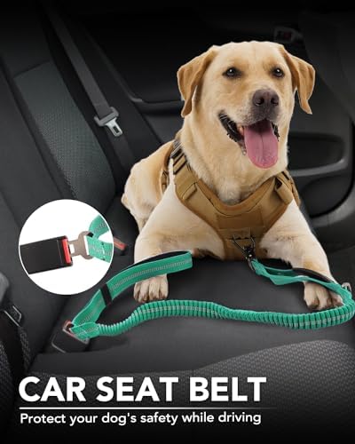 Joytale Tactical Bungee Dog Leash, Shock Absorbing No Pull, Teal - color: Teal