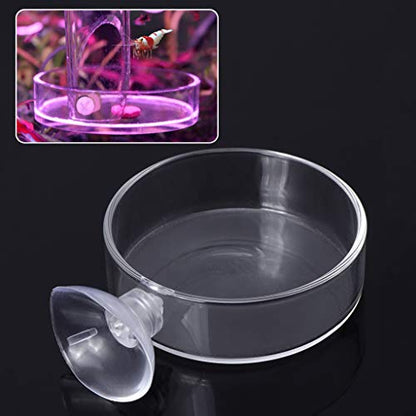 Shrimp Feeder Glass Feeding Dish Aquarium Fish for Reptiles Food Bowl with Suction Cups 2.4x0.7 Inch
