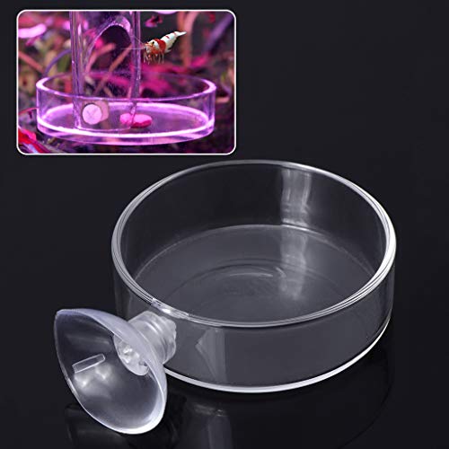 Glass Feeder Dish 2.4 Inches Wide 0.7 Inches Transparent Round Food Bowl for Cory Pleco Bottom Feeding Fish Aquarium Heater Light Thermometers Gravel Sand Decorations