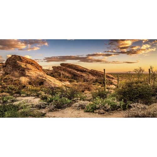 AWERT Reptile Habitat Background Blue Sky Oasis Cactus Sun and Desert Terrarium Background 72x16 inches Durable Polyester Background