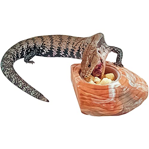 Stepping Stone Feeding Dish - Bearded Dragon Tank Accessories, Turtle Tank Accessories - Large Size