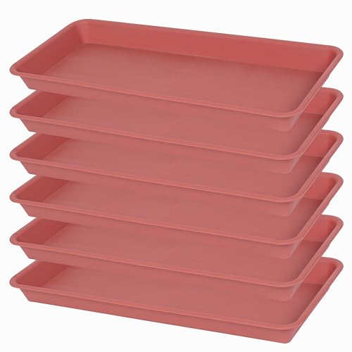 6 Pack Rectangular Plastic Plant Tray Saucer, Terracotta, 6 X 11 Inch, 100lbs Weight Capacity, Indoor/Outdoor, Windowsill Planter Tray - color: Terracotta, size: 11'' x 6'' x 1.0'' (6 pack)