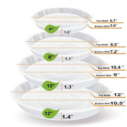 20 Pack Plant Saucer Tray (6 8 10 12 inch), Plant Saucers for Indoors Outdoor, Plastic Heavy Duty Drainage Drip Water Trays for Planter Pots Flower, Clear Pot Saucers Trays for Plants