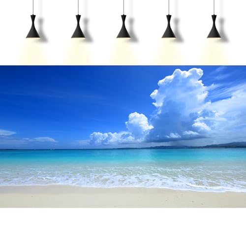 Tropical Beach Aquarium Background Ocean Sea Sandbeach Fish Tank Background Ocean Seascape Terrarium Backgrounds Sunny Blue Sky Clouds Seacoast Ocean Sea Waves Reptile Tank Backgrounds 36x18in