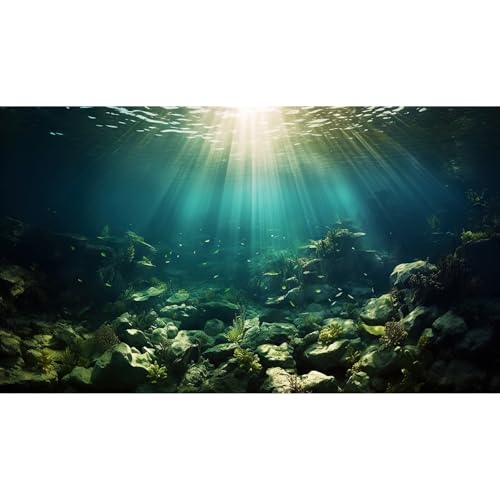 Deep Ocean Aquarium Background Under The Sea Fish Tank Background Underwater World Terrarium Backgrounds Ocean Floor Rock Aquatic Plants Aquarium Backdrop for Fish Tank Backgrounds Decors 24x12in - color: Rock Blue, size: 24(W)x12(H)inches/ 60(W)*30cm(H)
