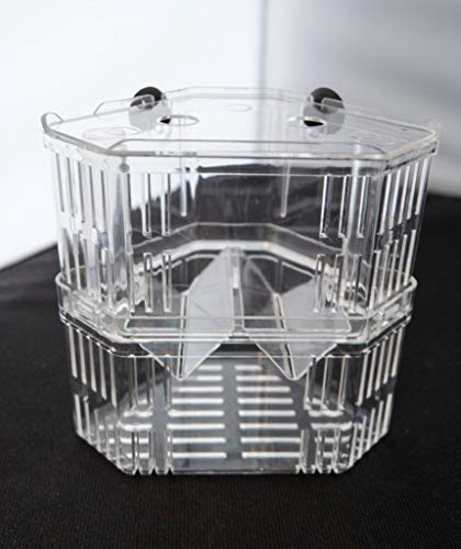 Aquarium Fish Breeder Box for Hatchery, Isolator, Injured Fish, Shrimp Clownfish (BX-007) - size: BX-007