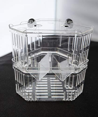 Aquarium Fish Breeder Box for Hatchery, Isolator, Injured Fish, Shrimp Clownfish (BX-007) - size: BX-007
