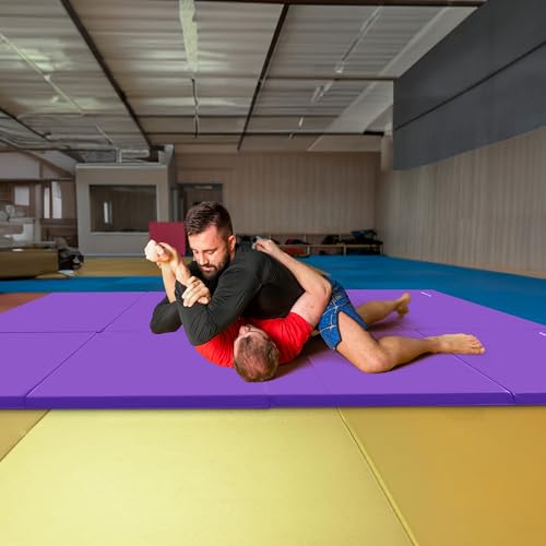 BalanceFrom 6x4 Feet 4-Panel Folding Gymnastics Mat – 2-Inch Thick Pad with Vinyl Surface and Carrying Handles for Tumbling, Yoga, Pilates, Home Workouts, and Martial Arts - color: Purple