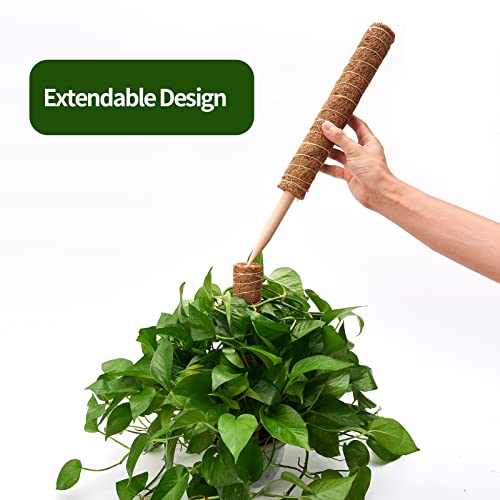 6 Pcs Moss Pole Extending to 68 Inches for Plants Monstera, Plant Support Stakes for Indoor Climbing Plants Grow Upwards, with 65ft Twist Ties, 13ft Jute Rope, 6.5ft Hook-and-Loop Strip - size: 6 Packs