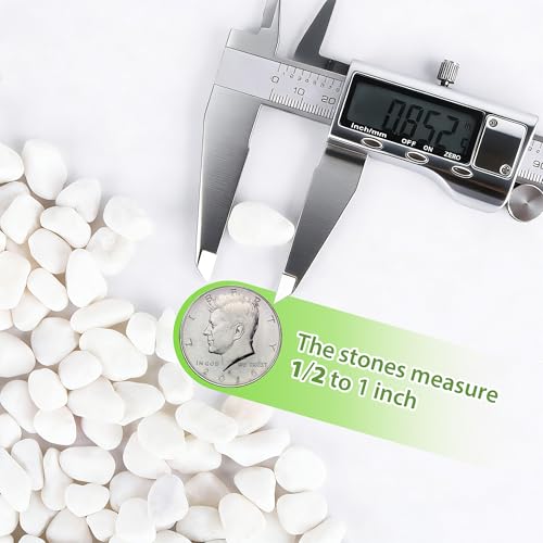 18-lb Bulk Bag White Pebbles 1/2" Size Aquarium Gravel Outdoor Garden Paving Plant Decorative Stones…