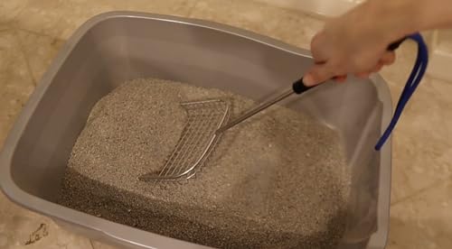 Cat Poop Scooper & Chicken Poop Scooper - Rugged Big 6" Square Stainless Steel Long Handle for Home Kitty Litter Scoop & Farm Chicken Compatible Coop Scooper (Scoop)