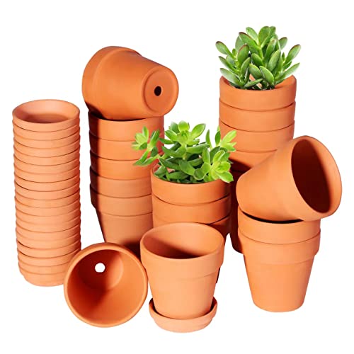 3 Inch Terracotta Pots with Saucer-20 Pack，Cactus Terra Cotta Flower Pot with Drainage，Succulent Nursery Clay Pots Great for Plants,DIY Crafts, Wedding Favor