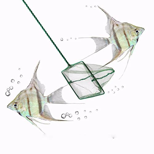Fishing Landing Net, Portable Catch and Release Fish Net Fish Skimming Net Goldfish Net Floating Debris Clean Tools for Aquarium Fishbowl Fish (6 inch)