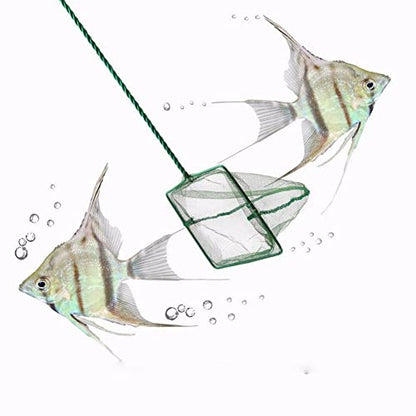 Fishing Landing Net, Portable Catch and Release Fish Net Fish Skimming Net Goldfish Net Floating Debris Clean Tools for Aquarium Fishbowl Fish (6 inch)