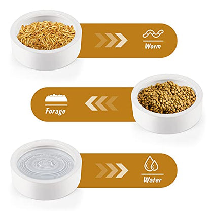 Worm Dish - Large 2 Pcs Reptile Food & Water Bowl for Lizard, Gecko, Chameleon, Hermit Crab, Bearded Dragon & More - Ceramic Anti-Escape Mini Reptile Feeder