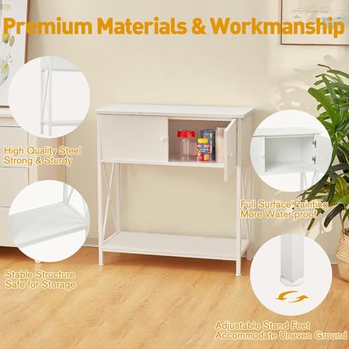 20-29 Gallon Aquarium Stand with Cabinet, 20 Gallon Long Fish Tank Stand with 31''L * 12''W Tabletop, Double Heavy Metal Stand with Stable Structure, Adjustable Table Feet - White - color: White 20-29Gallon, size: 20-29Gallon