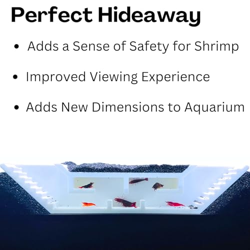Shrimp Cave Underground Maze Tunnel | Viewing Shrimp Freshwater Hide Tunnel | Aquarium Shrimp Breeding Cave Perfect for Small Shrimp, Cherry Shrimp, Dwarf Shrimp (White) - color: White