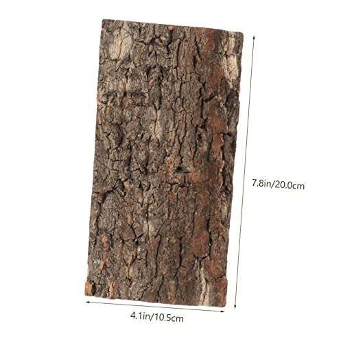 balacoo 6pcs Bark Terrarium Decor Stylish Reptile Background for Aquarium Tank Easy Placement for Reptiles Turtles Hamsters