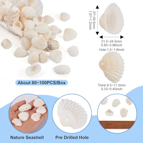 Craftdady Natural Clam Shell Pendants 21.5-24.5x8.5-11.5 Beach Ocean Seashell Beads Charms for Vase Filler Fish Tank Jewelry Making Hole:1.5-1.6mm, About 117pcs/Box - color: Natural Color, 21.5-24.5mm