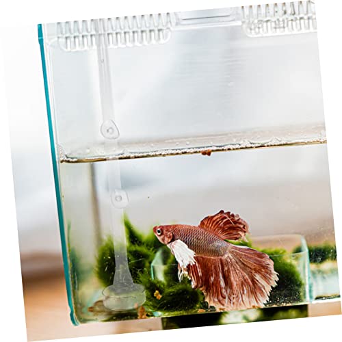DOITOOL 1set Aquarium Fish Feeder Dish Shrimp for Fish Tank Easy to Clean High-Grade Material for Convenient
