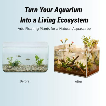 10 Pcs Creative Floating Floral Arrangement Holder,2pcs Aquarium Plant Holder 2025 Innovative Floating Flower Display Stand Clear Acrylic Floating Flower Bowl Stem Holder for Fish Tanks Table Hom Decor