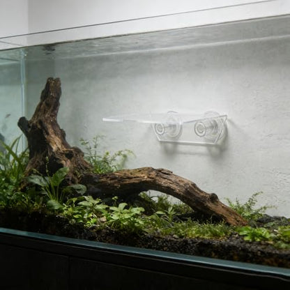 Aquarium Floating Shelf: Fish Tank Acrylic Ledge Plants Holder with Suction Cup - 5.9x4x2in Transparent Ledge for Aquarium Coral Aquatic Plants Moss - size: 15.00X10.00X5.00CM