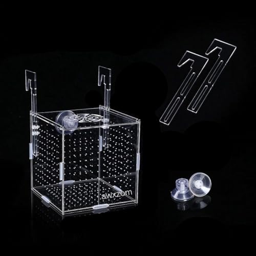 Acrylic Fish breeding Box, Acrylic Fish Isolation Box, Fish Separator for Aquarium, Hatchery Incubator with Suction Cups for Small Baby Fishes Shrimp Clownfish Guppy (5.9 * 5.9 * 5.9inch) - size: 5.9 * 5.9 * 5.9inch