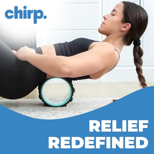 Chirp Wheel XR 6" Knot Kneader Back Roller for Deep Tissue Relief, Mint | Knot Kneader Back Roller, Shiatsu Foam Roller for Deep Muscle Knots, Trigger Point Back Massager, 6 Inch - size: 6 Inch Mint