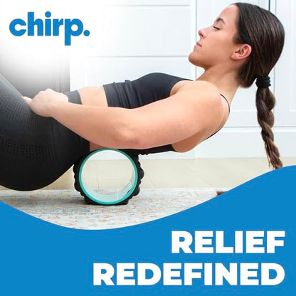 Chirp Wheel XR 6" Knot Kneader Back Roller for Deep Tissue Relief, Mint | Knot Kneader Back Roller, Shiatsu Foam Roller for Deep Muscle Knots, Trigger Point Back Massager, 6 Inch - size: 6 Inch Mint