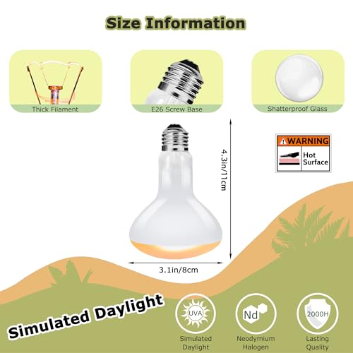 75W Reptile Heat Lamp Bulbs, 2.5 Inch UVA Amphibian Basking Spot Light for Bearded Dragon, Lizard, Tortoise & Chicks – Simulated Sunlight, Daylight Bulb for Aquariums and Tanks | 2 Pack